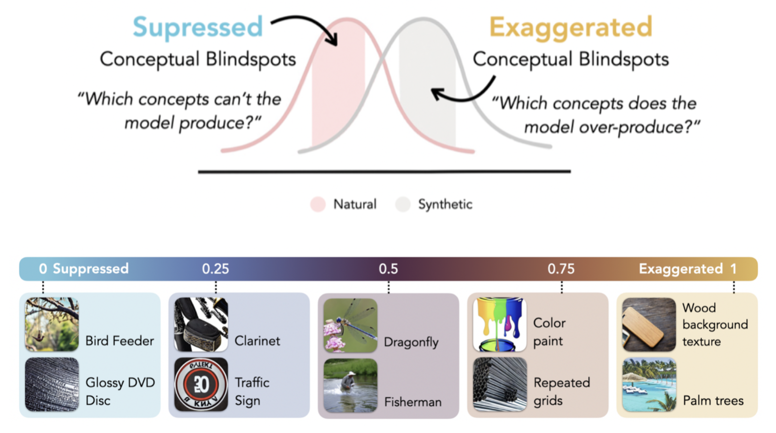 Conceptual Blindspots